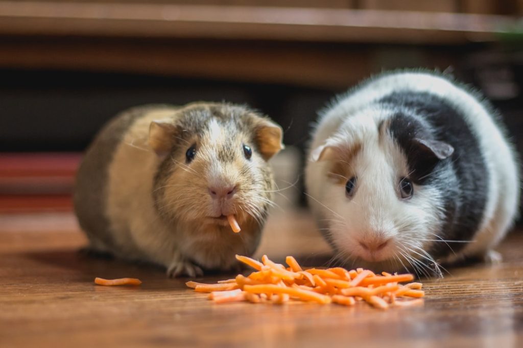 Photo Mindful eating